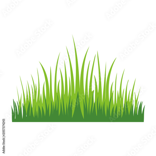 Green grass texture flat design