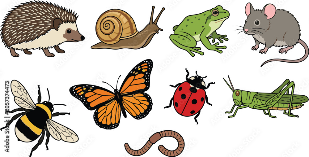 Fototapeta premium Cute Backyard Wildlife and Small Garden Animals Vector Collection Featuring Hedgehog Snail Frog Mouse Bee Butterfly Ladybug Grasshopper and Earthworm Cartoon Illustrations