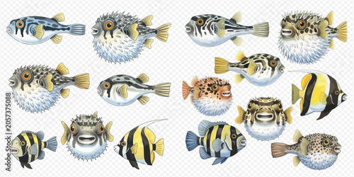 Foto Collection of various colorful tropical fish, including pufferfish and angelfish, isolated on a white background