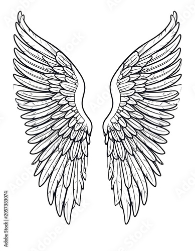 A pair of symmetrical white wings outlined in black