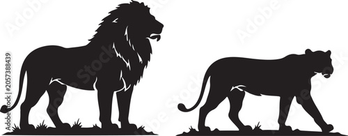 Lion and Lioness Silhouette Isolated on White Background.