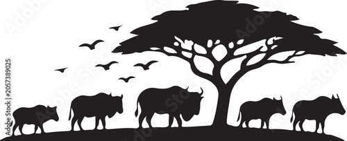 African Buffalo Herd Under Acacia Tree Silhouette Safari Wildlife Vector Illustration.