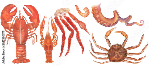 Canvastavla Crustaceans