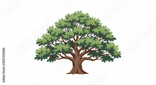 Bild auf Leinwand A large, mature tree with a broad canopy of green leaves and a sturdy trunk