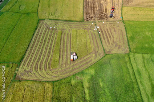 Φωτογραφία A harvester moves through a rice paddy field during harvest time