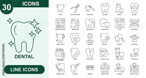 Foto Dental, Outline Vector Icons