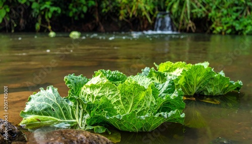 Lush greens float in stream