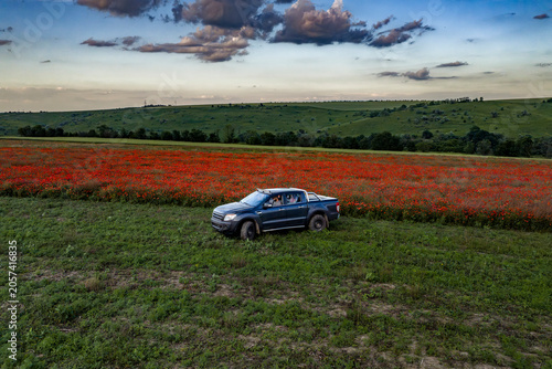Obraz na płótnie Pickup Truck Parked Beside Blooming Red Poppy Field Under Dramatic Evening Sky i
