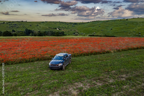 Fotografie Pickup Truck Parked Beside Blooming Red Poppy Field Under Dramatic Evening Sky i