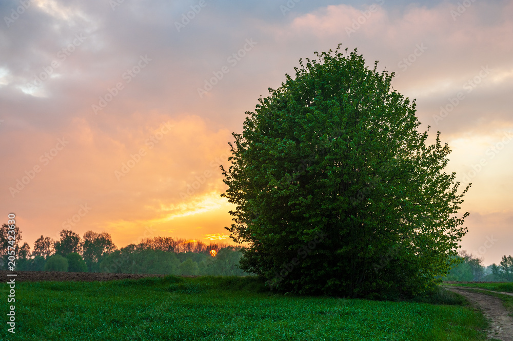 Fototapeta premium A landscape shot showing a stunning sunset over Belgian farmlands. Flamish Ardennes, east-flanders.