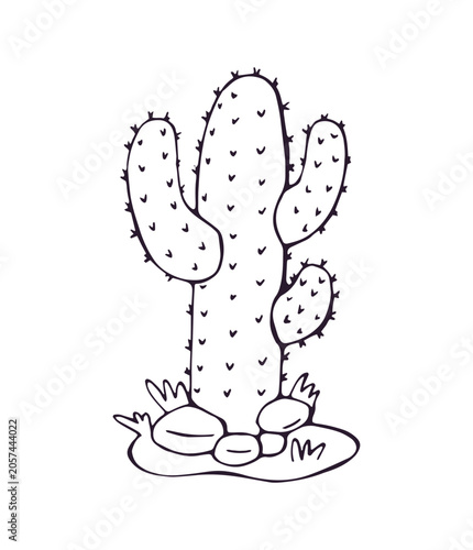 Hand drawn saguaro cactus with rocks doodle illustration isolated on white background