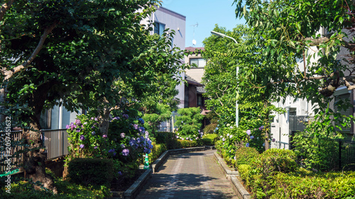 暗渠化された遊歩道