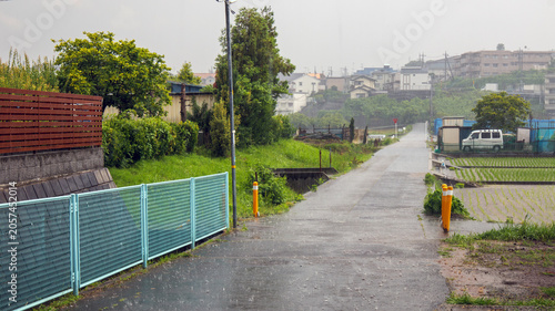 雨の日の農道