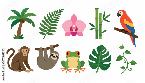 Photography Tropical jungle animals and plants.
