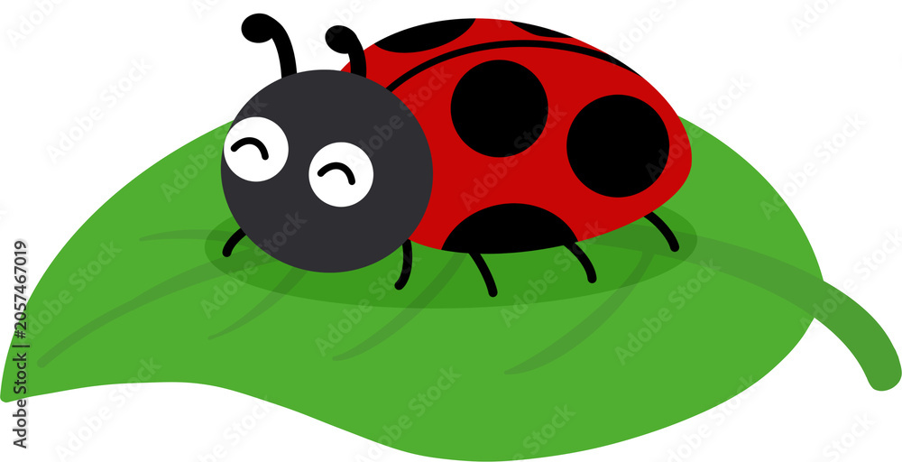 Fototapeta premium ladybug