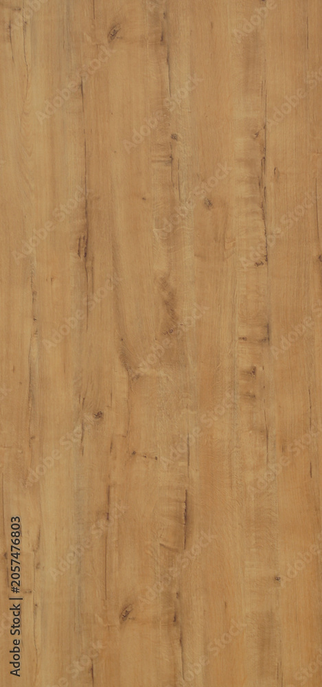 Fototapeta premium Wooden Texture wallpaper for walls