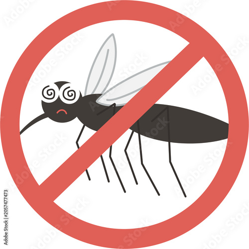 Photos mosquito