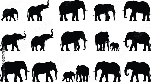 Fotografía Black and white of a herd of elephants in various poses animal silhouettes simpl