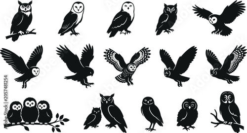 Fotografía Black and white of various birds, including eagles, parrots, penguins, and owls