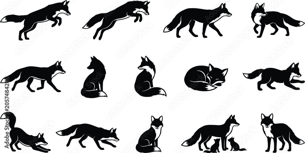 Fototapeta premium Black silhouette of various animals including mammals, reptiles, and birds black animal silhouettes