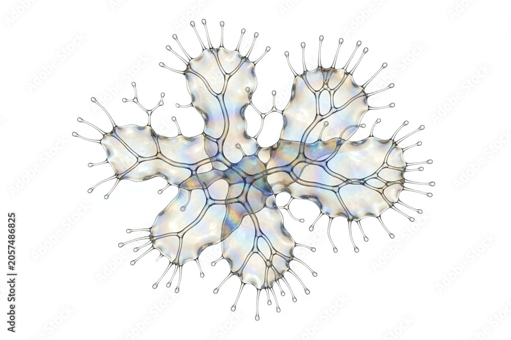 Obraz premium Abstract Microscopic Cellular Network Structure Isolated on White Background