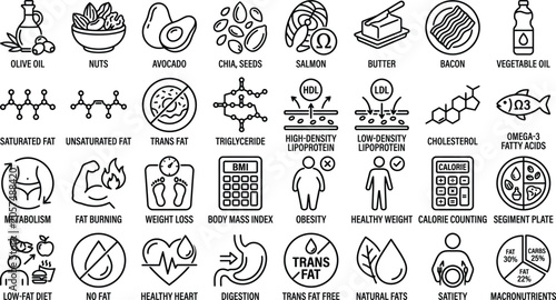 Tableau sur toile Fat Nutrition and Metabolism Icon Set