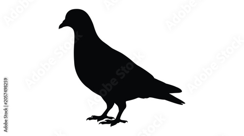 Fényképezés Pigeon Silhouette Against A White Background Flat Vector Illustration
