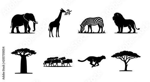 Photography African Safari Wildlife Silhouette Collection: Elephant, Giraffe, Lion, Zebra, C