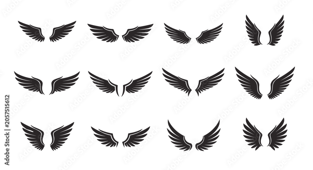 Obraz premium Collection of twelve black bird wing silhouettes with different shapes and feather patterns on a plain white background.
