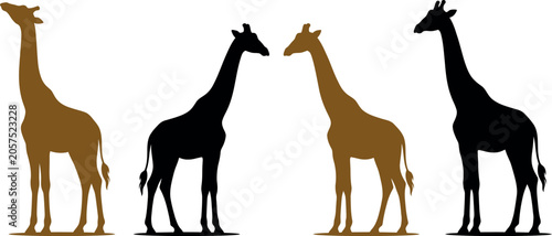 Photography Giraffe silhouettes black and brown animal profiles