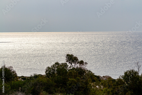 Beautiful golden morning morning sea with sun path and dark silhouettes of coastal shrubs in foreground. Calm Mediterranean marine landscape view under clear sky in winter low season, Cyprus.