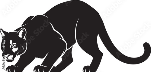 black panther crawling on white background