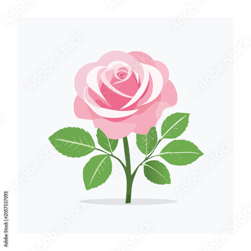 Pink lotus flower with green leaves vector