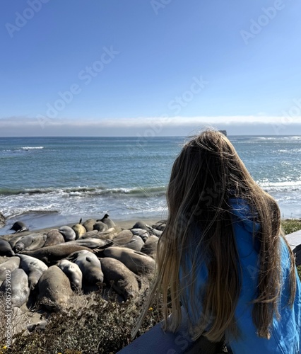 Photography Young woman tourist from behind watching wild elephant seals colony on the ocean