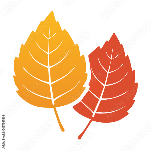 Maple leaf vector icon autumn design