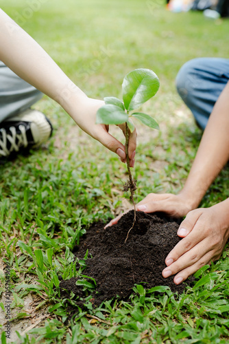 Tableau sur toile People planting a young sapling in dark soil, symbolizing environmental conserva