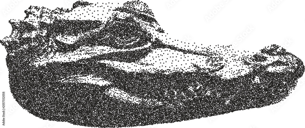 Obraz premium Money retro y2k stipple design cash halftone brutalist urban vector png with clear background, finance 2000s photocopy grunge tattoo gen z effect
