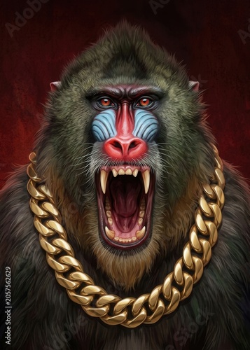 Angry Roaring Mandrill Baboon Wearing Gold Chain Necklace