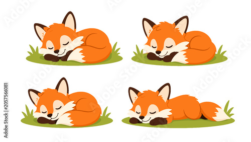 Tableau sur toile Set of cute sleeping fox cartoon illustrations on grass