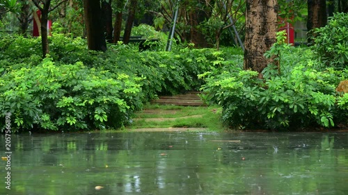 part of a residential community garden on a rainy day video with sound
