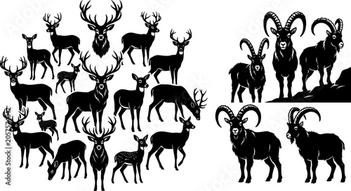 Set of deer family and mountain goat silhouettes with antlers and horns, black vector illustrations of wild forest and mountain animals