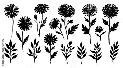 Fotografie Hand drawn black floral set with daisies and leafy stems