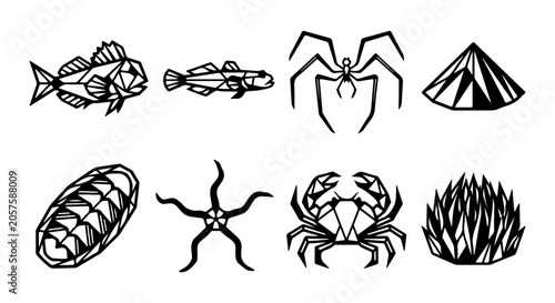 Slika na platnu Geometric Marine Life Icons: Fish, Spider, Crab, Starfish, Shell, Crystal, Coral