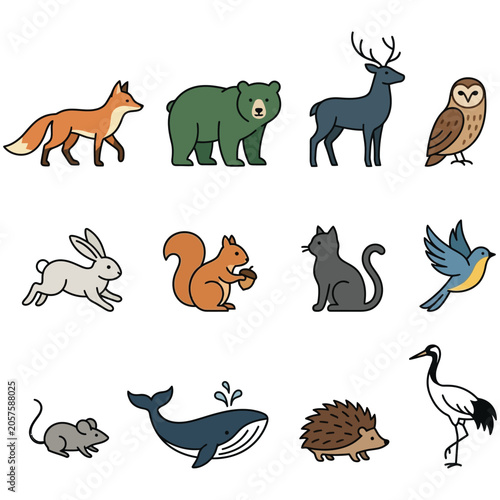 Photography Set of various wild animals including birds and mammals with wildlife, squirrel