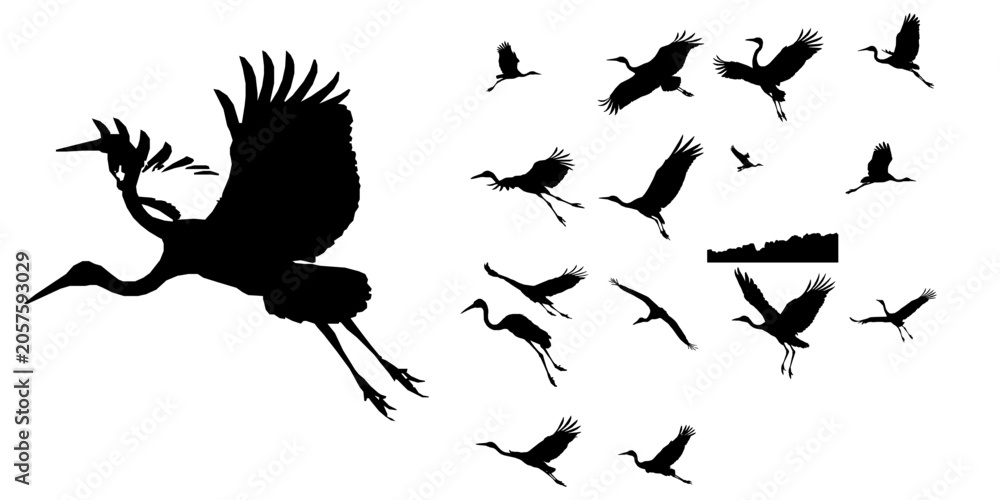 Fototapeta premium Crane Bird in Flight Silhouette
