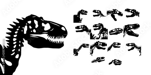 Fotografía Dinosaur Skull Silhouette