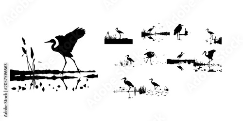Bild auf Leinwand Wading Bird in Marsh at Sunrise Silhouette