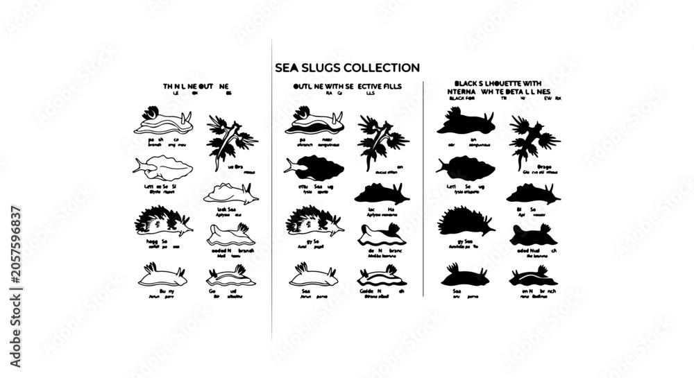 Fototapeta premium Sea Slugs Collection, Marine Mollusks, Underwater Wildlife, Nature Illustration Vector Set