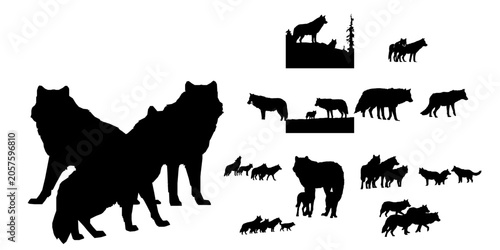 Foto Wolf Pack in Snow Silhouette