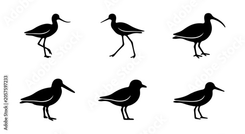 Photography Shorebird Silhouettes Collection, Wading Bird Poses Vector Set, Coastal Wildlife
